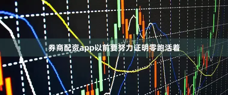 券商配资app以前要努力证明零跑活着