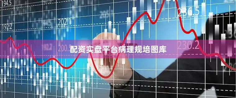 配资实盘平台病理规培图库